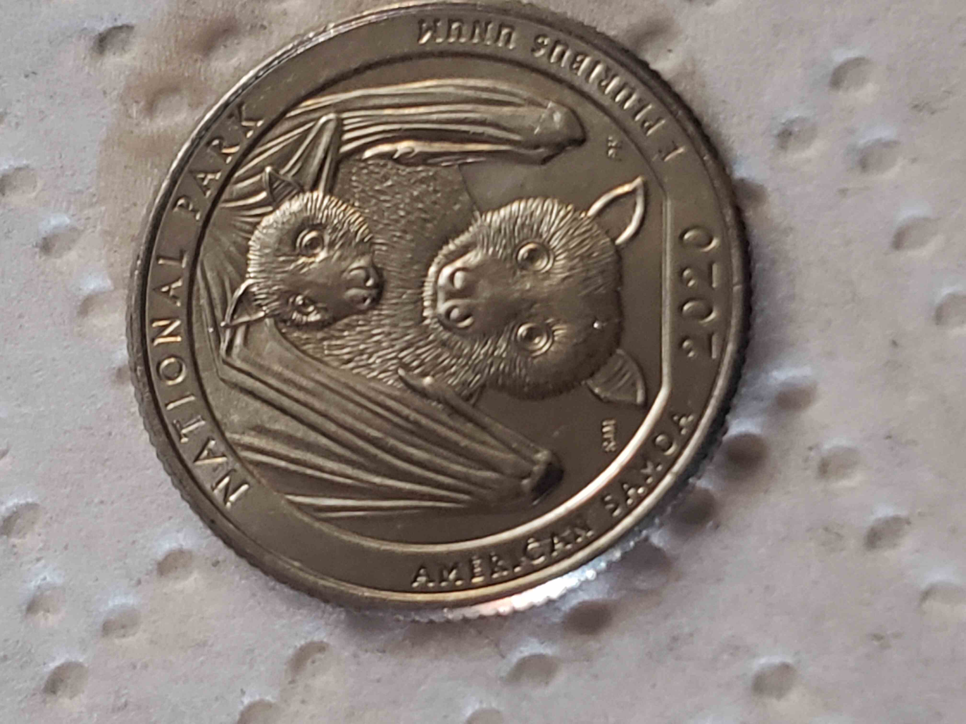2020-P-American-Samoa-Quarter---Grade-Please?